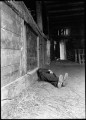 070923_reiss_2