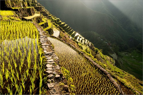 Foto: Stefan Forster