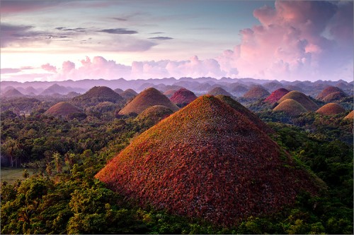 Foto: Stefan Forster