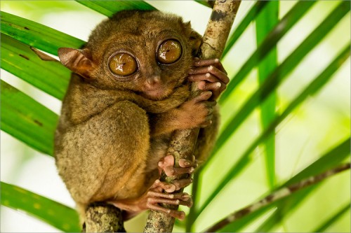 Foto: Stefan Forster