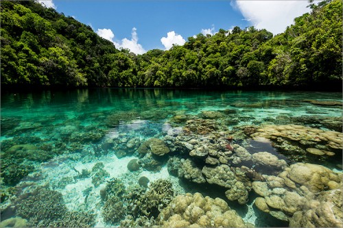 Foto: Stefan Forster