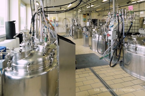 Ilford_Produktion_Emusionsherstellung