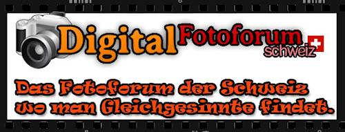 Digital Fotoforum Logo
