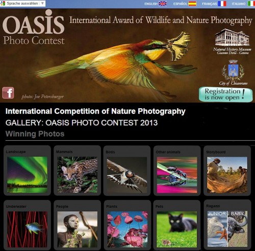 Oasis Contest
