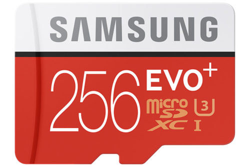 Samsung EVO Plus 256GB microSD card frontal