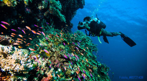 diver take a photo video upon colorful coral kapoposang indonesia scuba diving