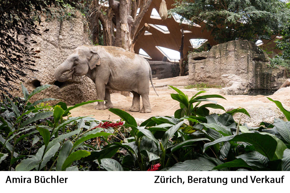 05_Amira_Buechler