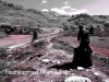 06_pentax_q7_hochkont_farbextr_750