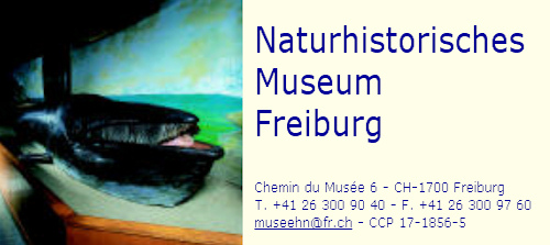 museum-fribourg_vkarte