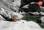 080809_bild_mosgno1