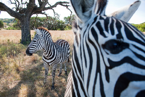 Corbis_42-23800745_kl