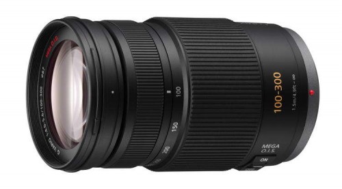 Panasonic 100-300mm