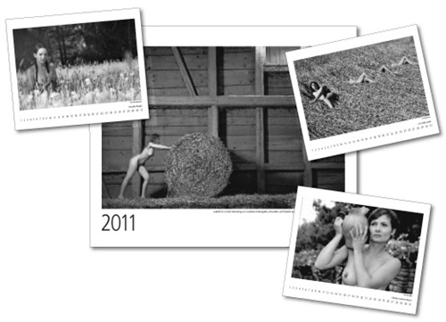 Aktkalender 2011 Collage