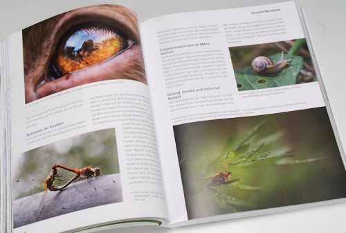 Einfach besser fotografieren_06