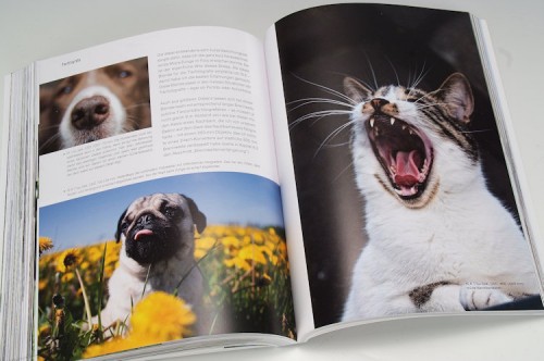 Einfach besser fotografieren_10