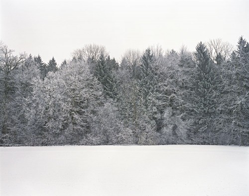 Maurizio Orlanduccio