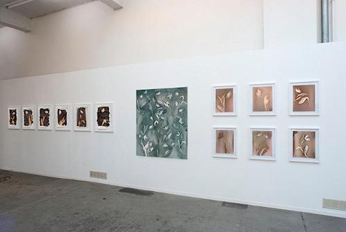 Photogarage Annas Blumen