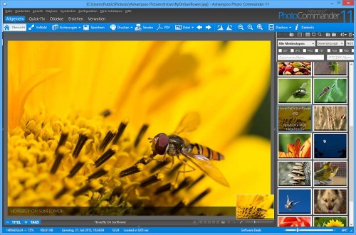 Ashampoo Photo Commander 11 Diaschau