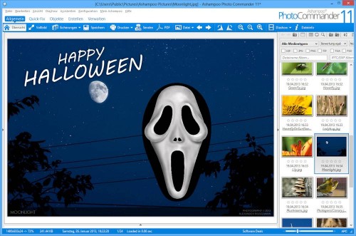 Ashampoo Photo Commander 11 Objekte hinzuügen
