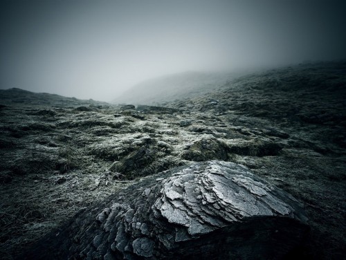 Sandro Diener Vals 1 2008