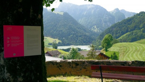 Alt+1000 Penelope Umbrico Kirche