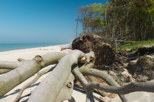Zingst_FWS13_Heinz_Teufel_Weststrand_500