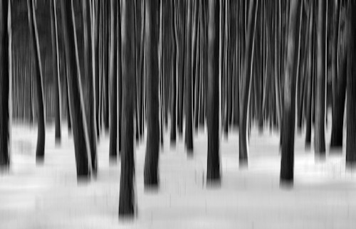 Jutta Engelage - Schwarzweiss