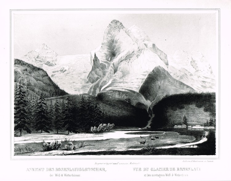 Möllinger Rosenlauigletscher