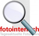Fotointern Besucherbefragung_Lead