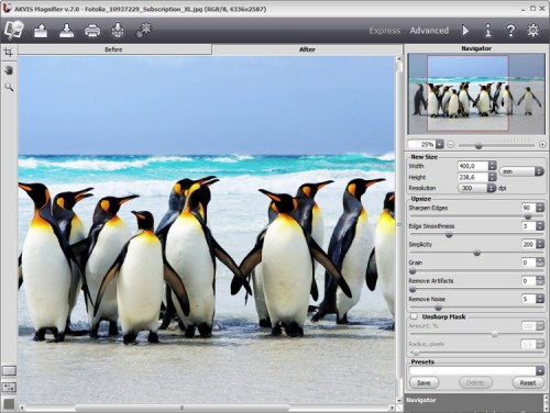 Akvis Magnifier Screenshot-1