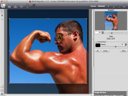 Akvis Magnifier Screenshot-4