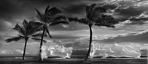 Hasselblad Masters 2014 - RAFAL MALESZYK Fine Art