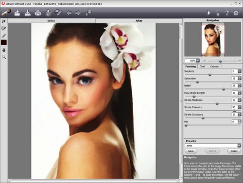 Akvis Oilpaint screenshot 1