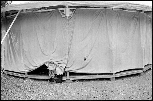 Manège autour du cirque Knie.