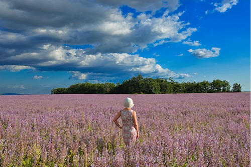Christian Heeb Provence
