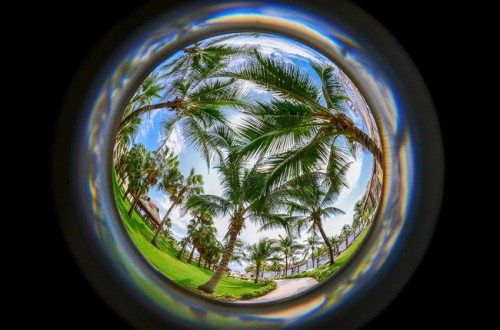 Lensbaby CFE Hilary Freed