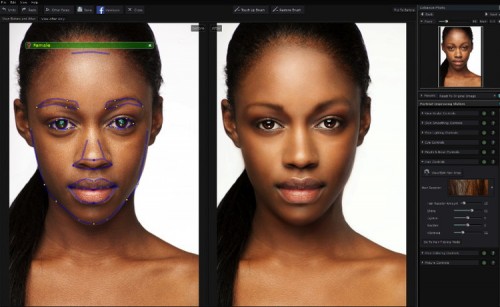 PortraitPro 12 Bestimmen der Gesichtsbereich