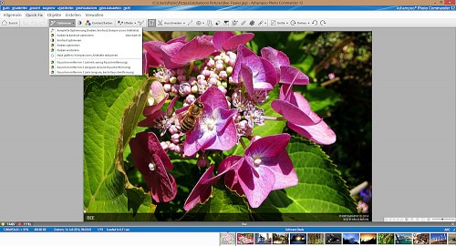 Ashampoo Photo Commander 12