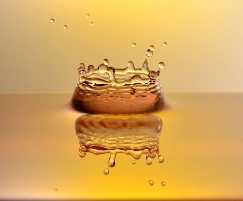 Faszinierende Tropfenwelt - fotointern.ch – Tagesaktuelle Fotonews