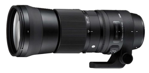 Sigma 150-600 Contemporary