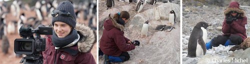 Piguine_CM_Kameraführung