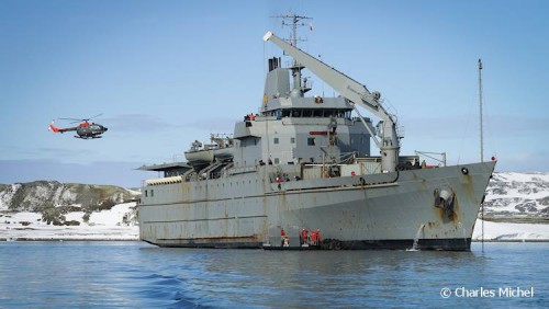 Pinguine_CM_K1-01003_Aquiles_750