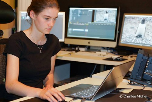 Pinguine_CM_Nachbearbeitung