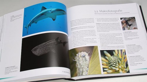 Zurmuehle_Digitale Fotografie_06