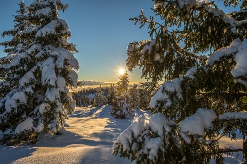 Copyright Lorenz_Masser