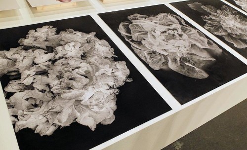 Photo15_Claudia_Link_750