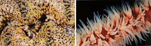 Photo15_Claudia_Peyer_750