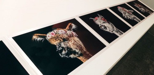 Photo15_Tina_Sturzenegger_750