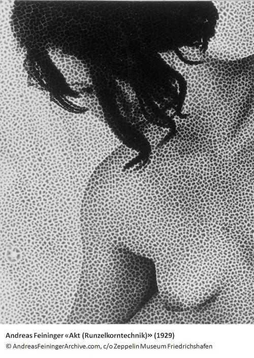 Feininger_Akt (Runzelkorntechnik), 1929_750