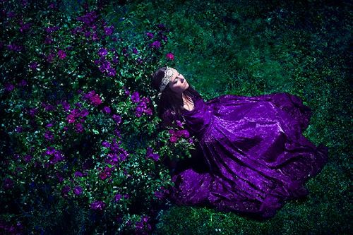 Photostream Anna-Lena Holm 500